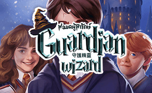 Guardian Wizard